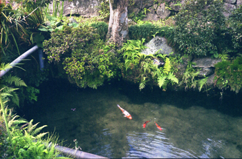 加計町上殿駅付近 加計町上殿駅付近