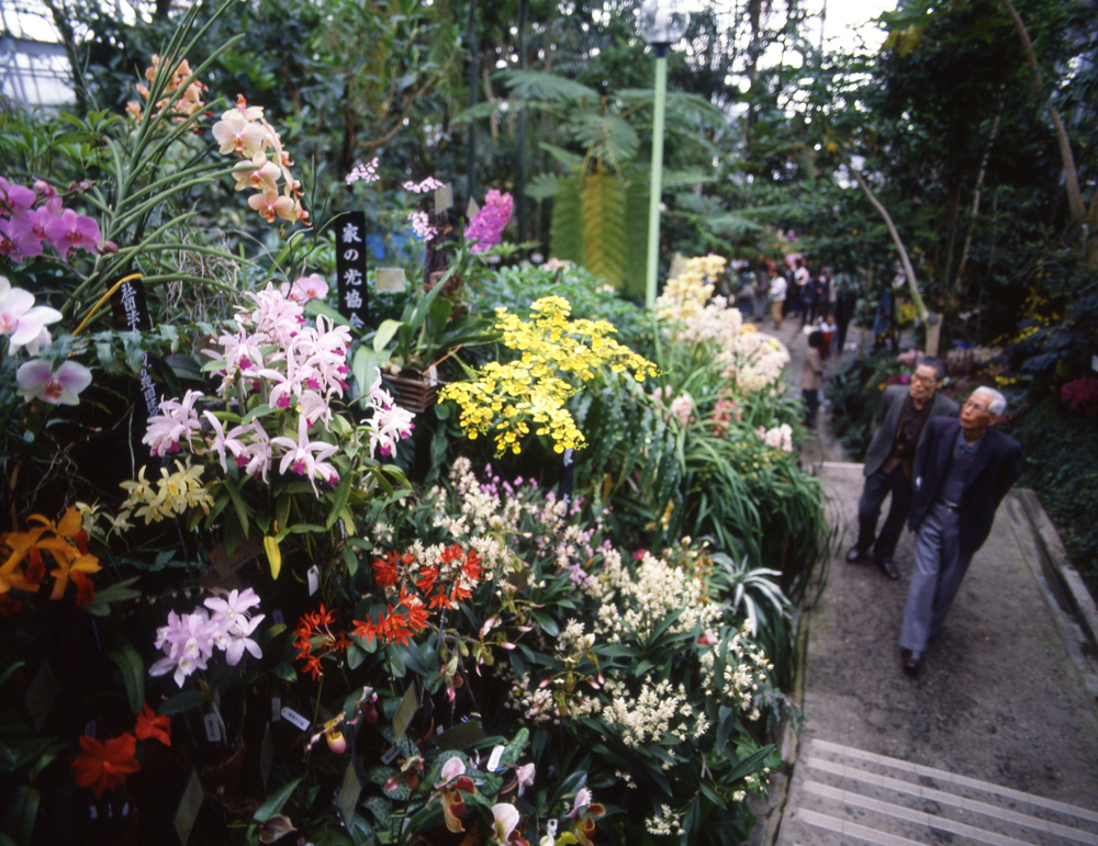 1986/11/10 14時05分